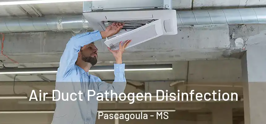  Air Duct Pathogen Disinfection Pascagoula - MS