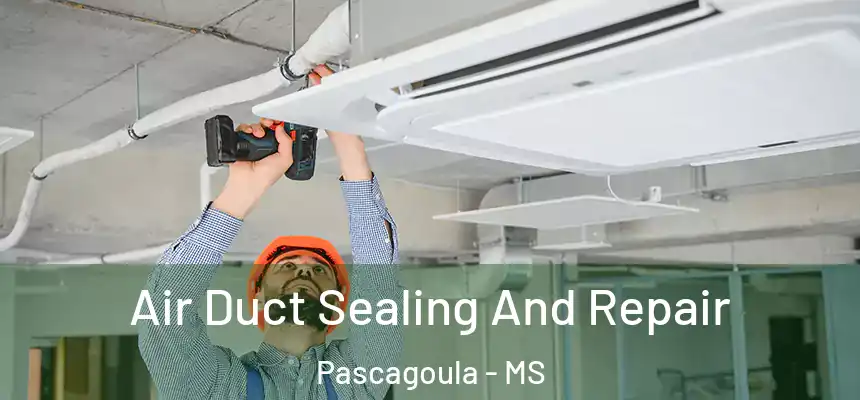  Air Duct Sealing And Repair Pascagoula - MS