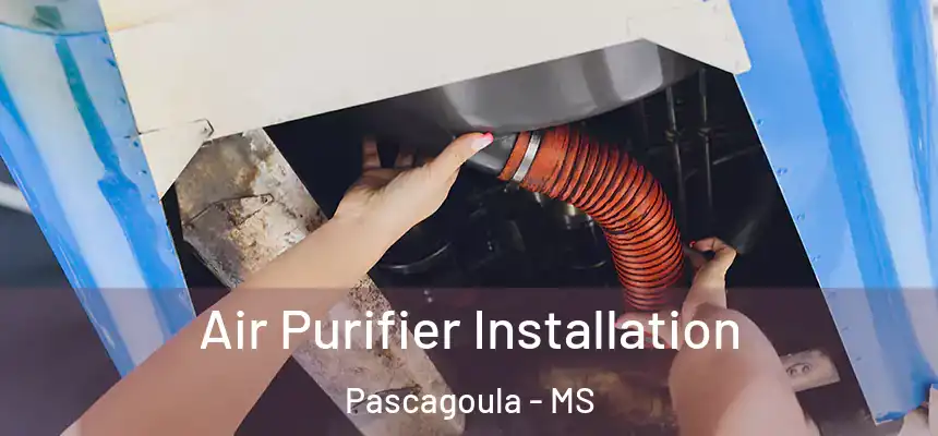  Air Purifier Installation Pascagoula - MS