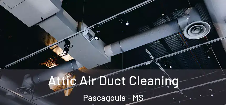  Attic Air Duct Cleaning Pascagoula - MS