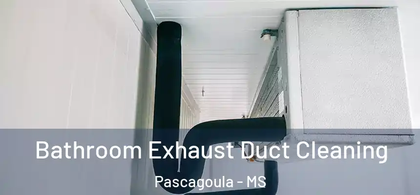 Bathroom Exhaust Duct Cleaning Pascagoula - MS