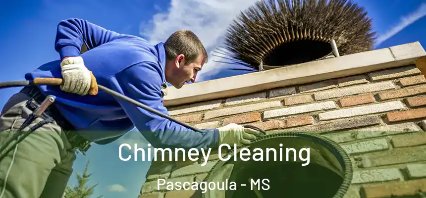 Chimney Cleaning Pascagoula - MS