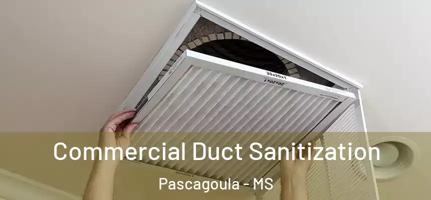  Commercial Duct Sanitization Pascagoula - MS