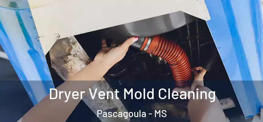  Dryer Vent Mold Cleaning Pascagoula - MS
