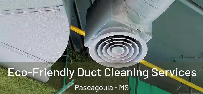  Eco-Friendly Duct Cleaning Services Pascagoula - MS
