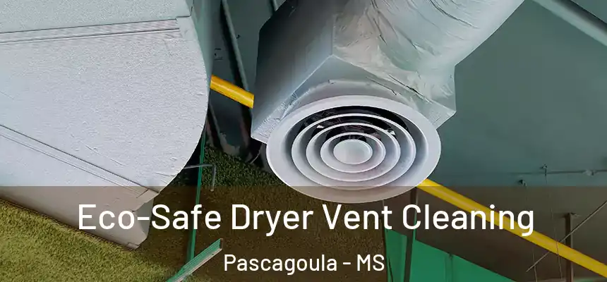  Eco-Safe Dryer Vent Cleaning Pascagoula - MS