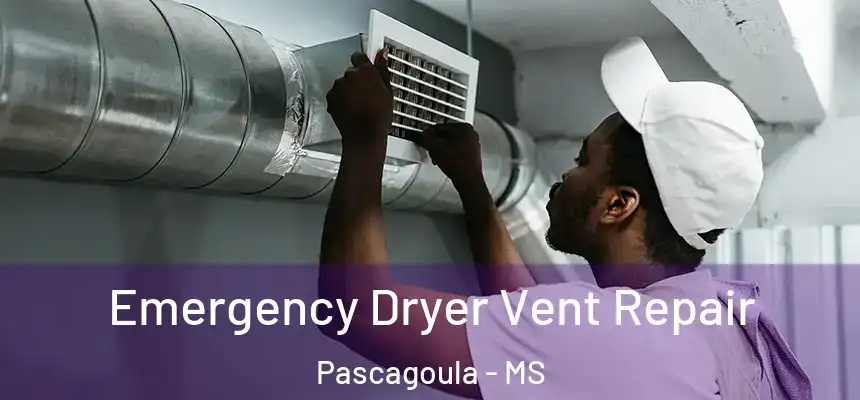  Emergency Dryer Vent Repair Pascagoula - MS