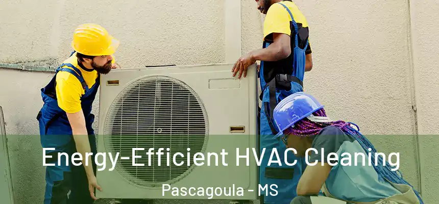  Energy-Efficient HVAC Cleaning Pascagoula - MS