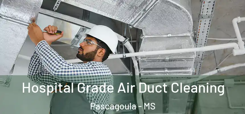  Hospital Grade Air Duct Cleaning Pascagoula - MS