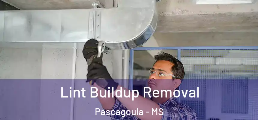 Lint Buildup Removal Pascagoula - MS