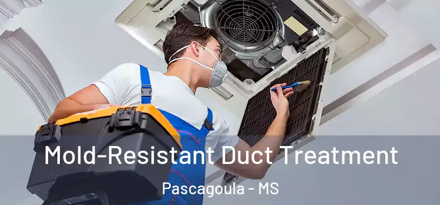 Mold-Resistant Duct Treatment Pascagoula - MS