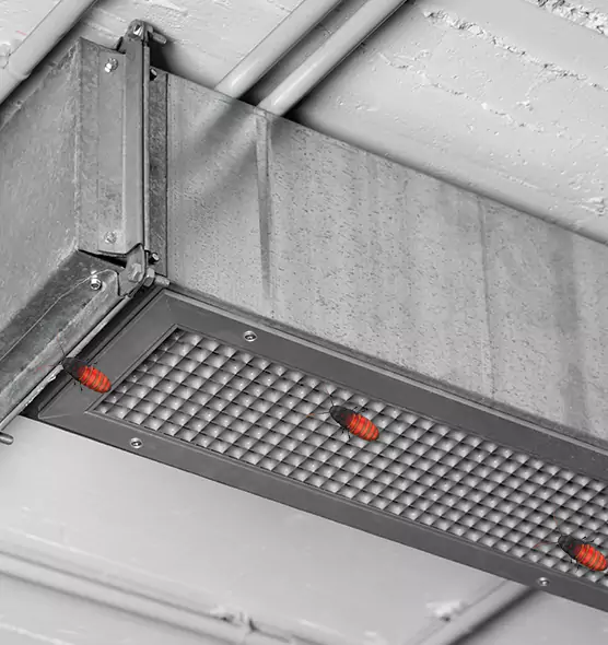About Air Duct Cockroach Removal in Pascagoula, MS