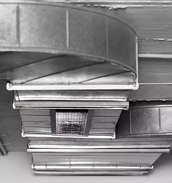 Professional Air Duct Pet Hair Removal in Pascagoula, MS