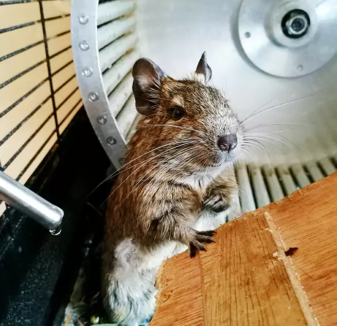 Why Homeowners & Businesses Trust Us Pascagoula, MS