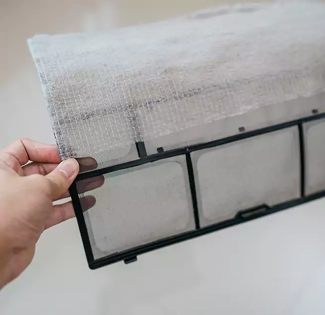 Why Homeowners & Businesses Trust Us in Pascagoula, MS?