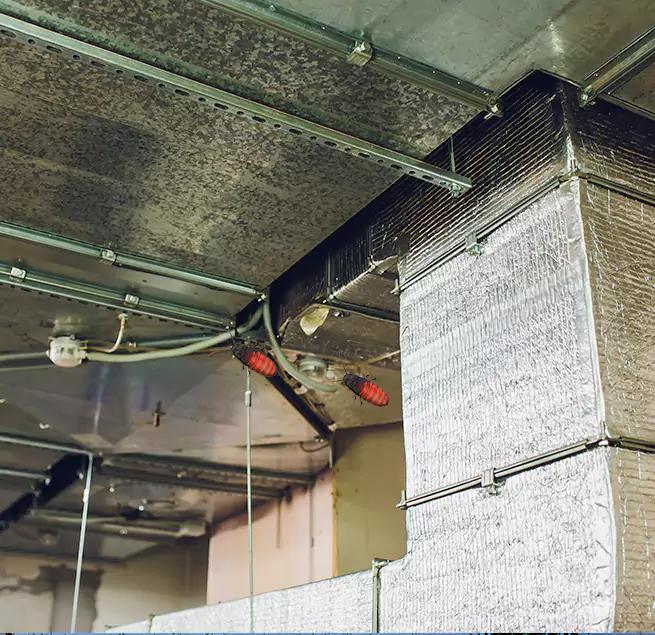 Why Homeowners & Businesses Trust Us Pascagoula, MS?