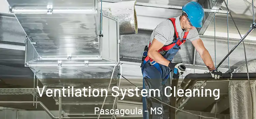  Ventilation System Cleaning Pascagoula - MS