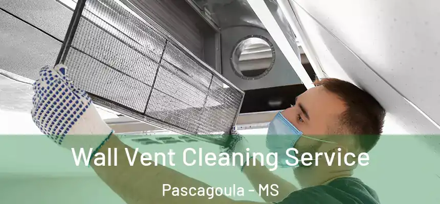  Wall Vent Cleaning Service Pascagoula - MS