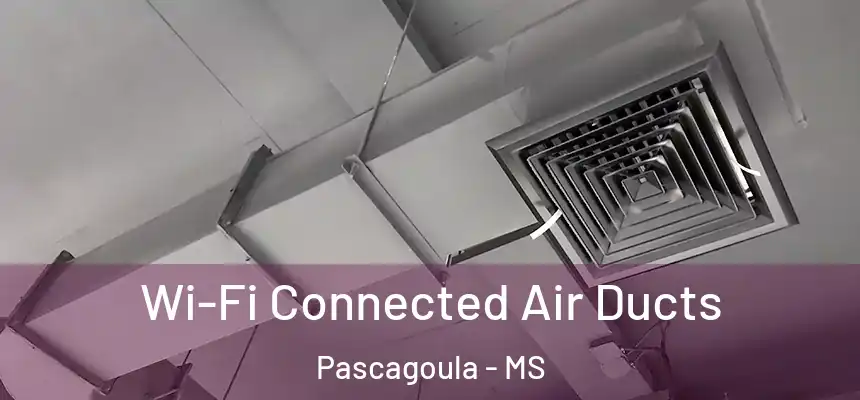  Wi-Fi Connected Air Ducts Pascagoula - MS